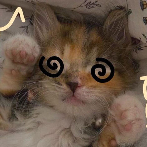 art by @salenjoyscats (twitter)